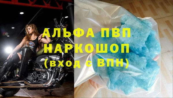 твердый Богданович