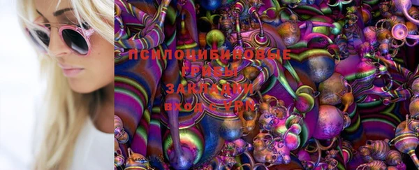 твердый Балабаново