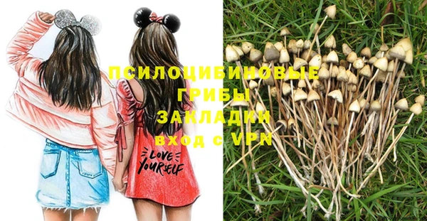 твердый Балабаново