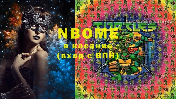 твердый Богданович