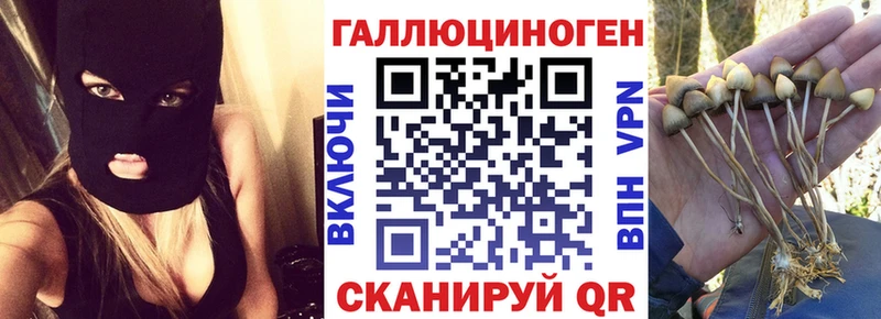 Галлюциногенные грибы MAGIC MUSHROOMS  Губкинский 